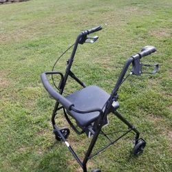 Great Walker In Excellant Condition