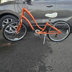 Trek Pure Lowstep