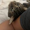 Jesi