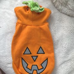 Dog Halloween Sweater Reflective Size Xs