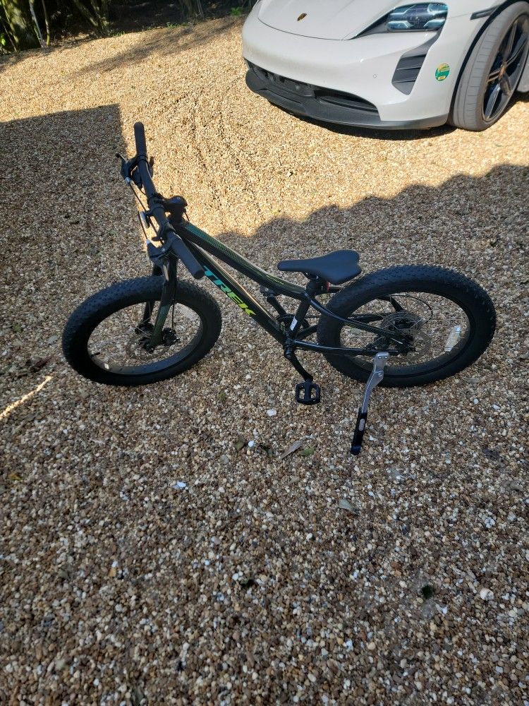 Roscoe Trek Silver Alpha Aluminum Bike
