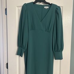 Calvin Klein Women’s Dress Size 12 Green Long Sleeve