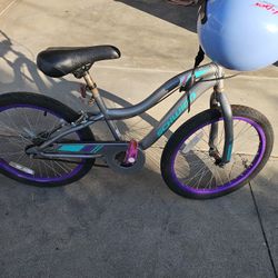 Schwinn Grey Bike 150 