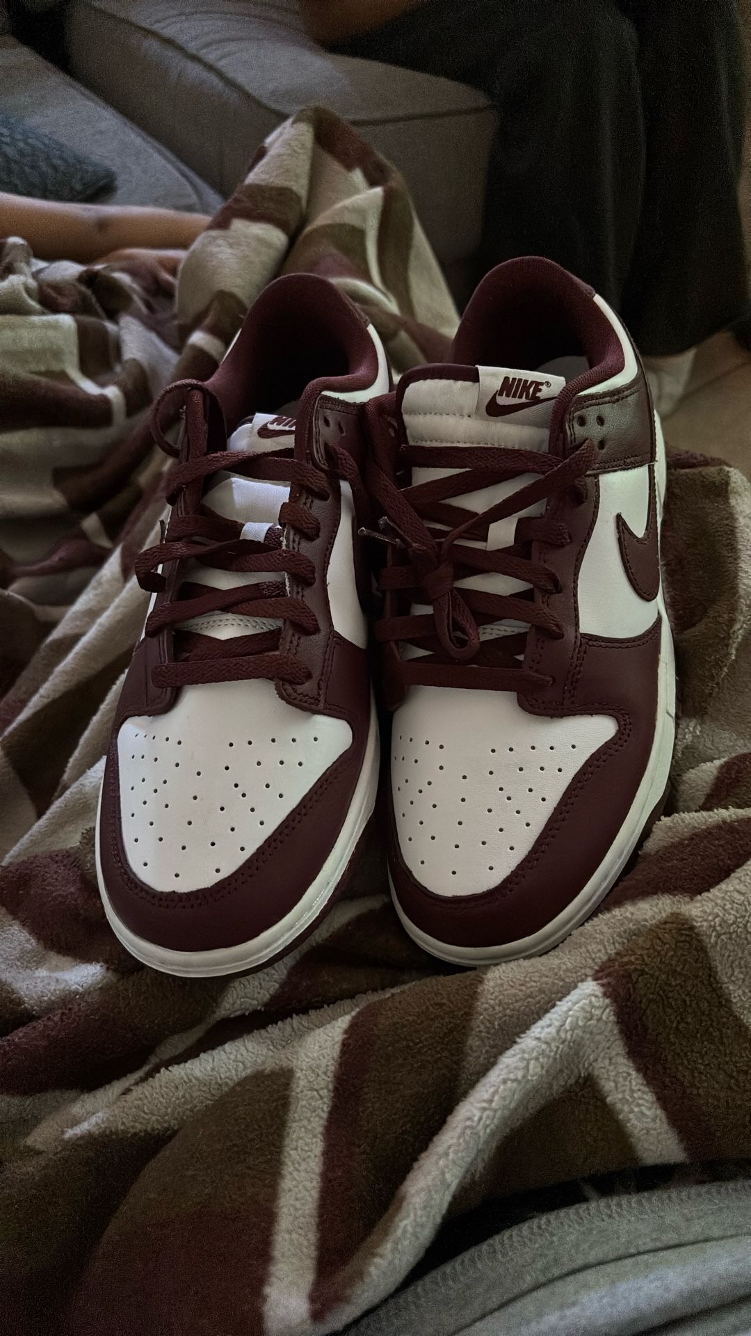 Nike Air Dunks Burgundy