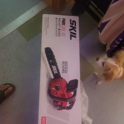 Skil Pwrcore 40 V 14 In Chainsaw