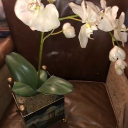 Faux Potted Orchid