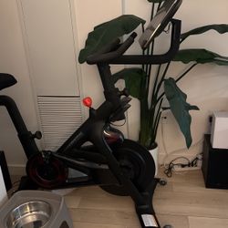 Peloton Bike+
