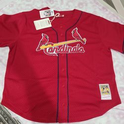 Mitchell & Ness Authentic Throwback Player's Jersey - (Mark McGwire)