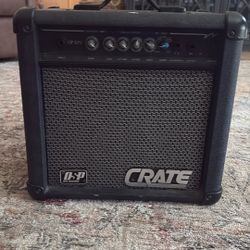 Medium Size Crate Amp