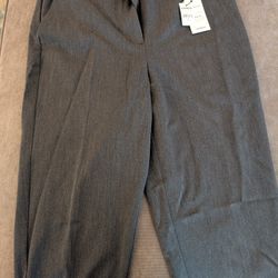Express Editor Dress Pants