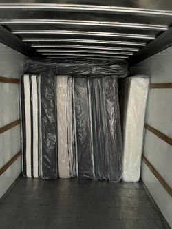 New Shipment Just In – Huge Markdowns Inside!