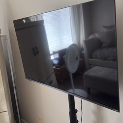 42 in Vizio flat screen tv with stand