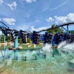 Seaworld Tickets/Boletos