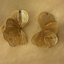 Gold Earrings 