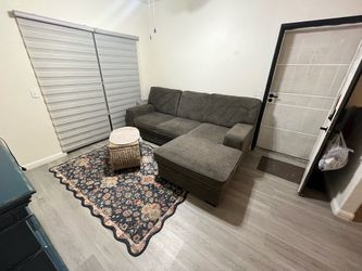 Sleeper sofa/couch