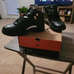 Jordan 12 Masters 8.5
