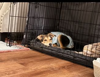 Dog Crate with Cover 36x23x25