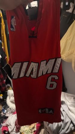 LeBron jersey 44