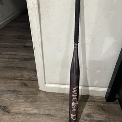 Fast Pitch Bat