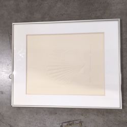 Light-Toned Seashell Relief Framed Art