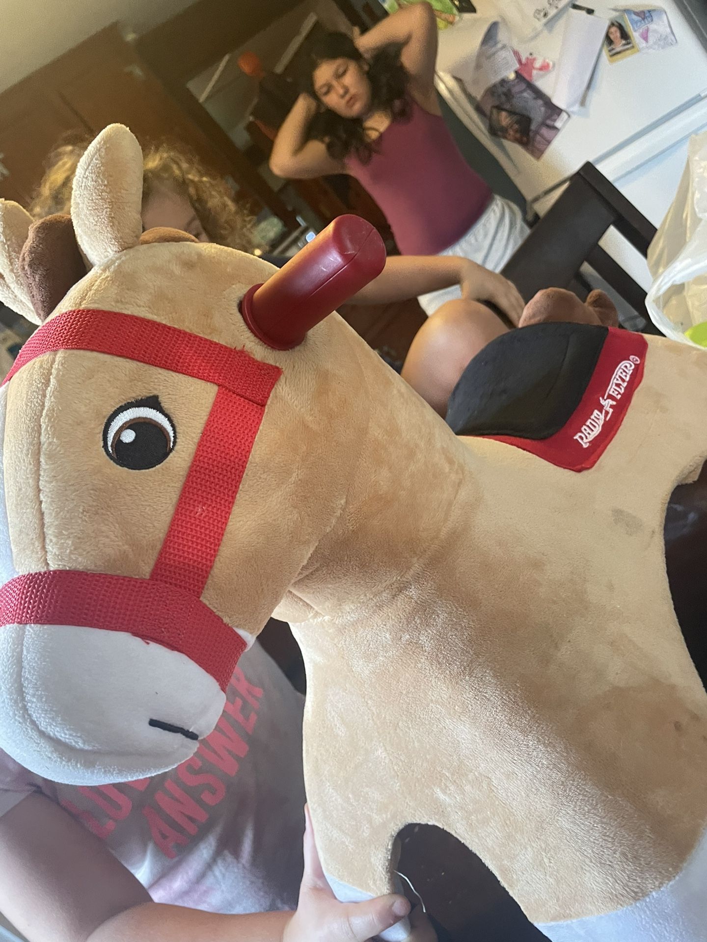 Ride On Horse