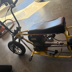 Mini bike