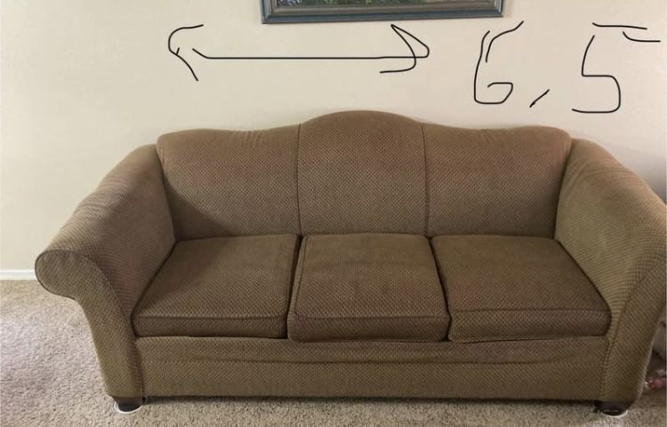 Pullout couch and loveseat