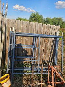 Scaffolds
