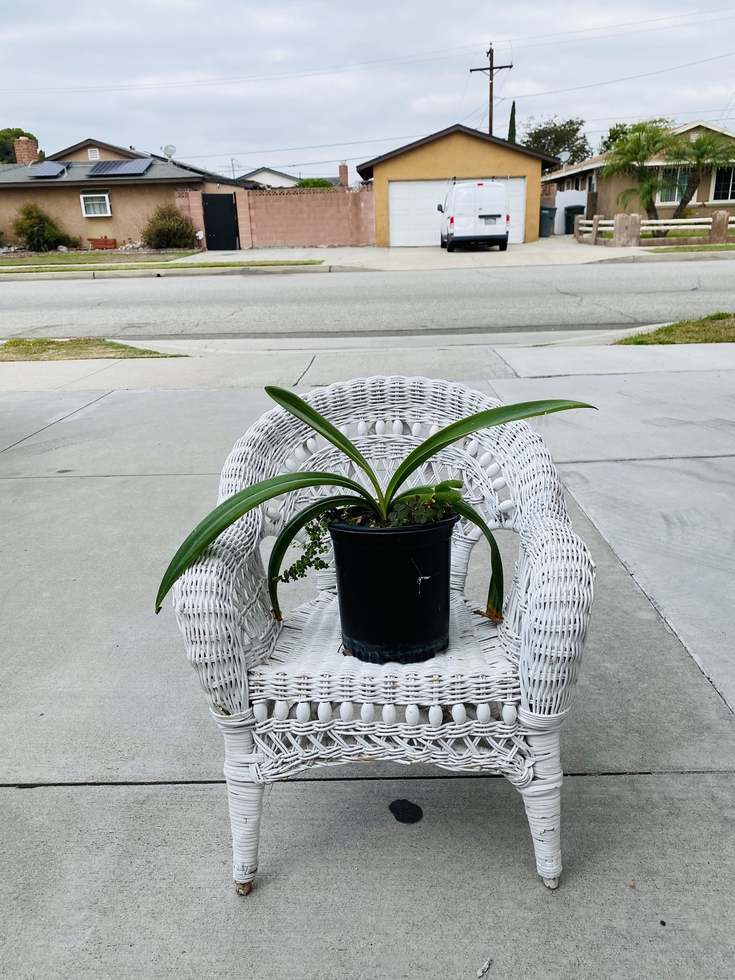Plant stand