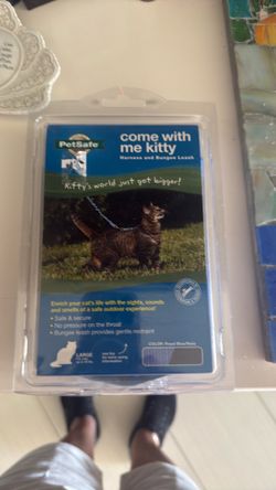Cats harness and bungee leash