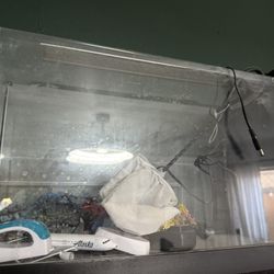5 Gallon Water Tank 