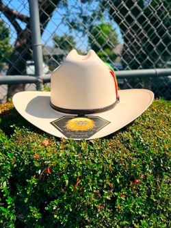 Sombrero de Palma de 2000X Sinaloa