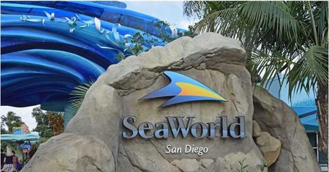 SeaWorld Day Pass