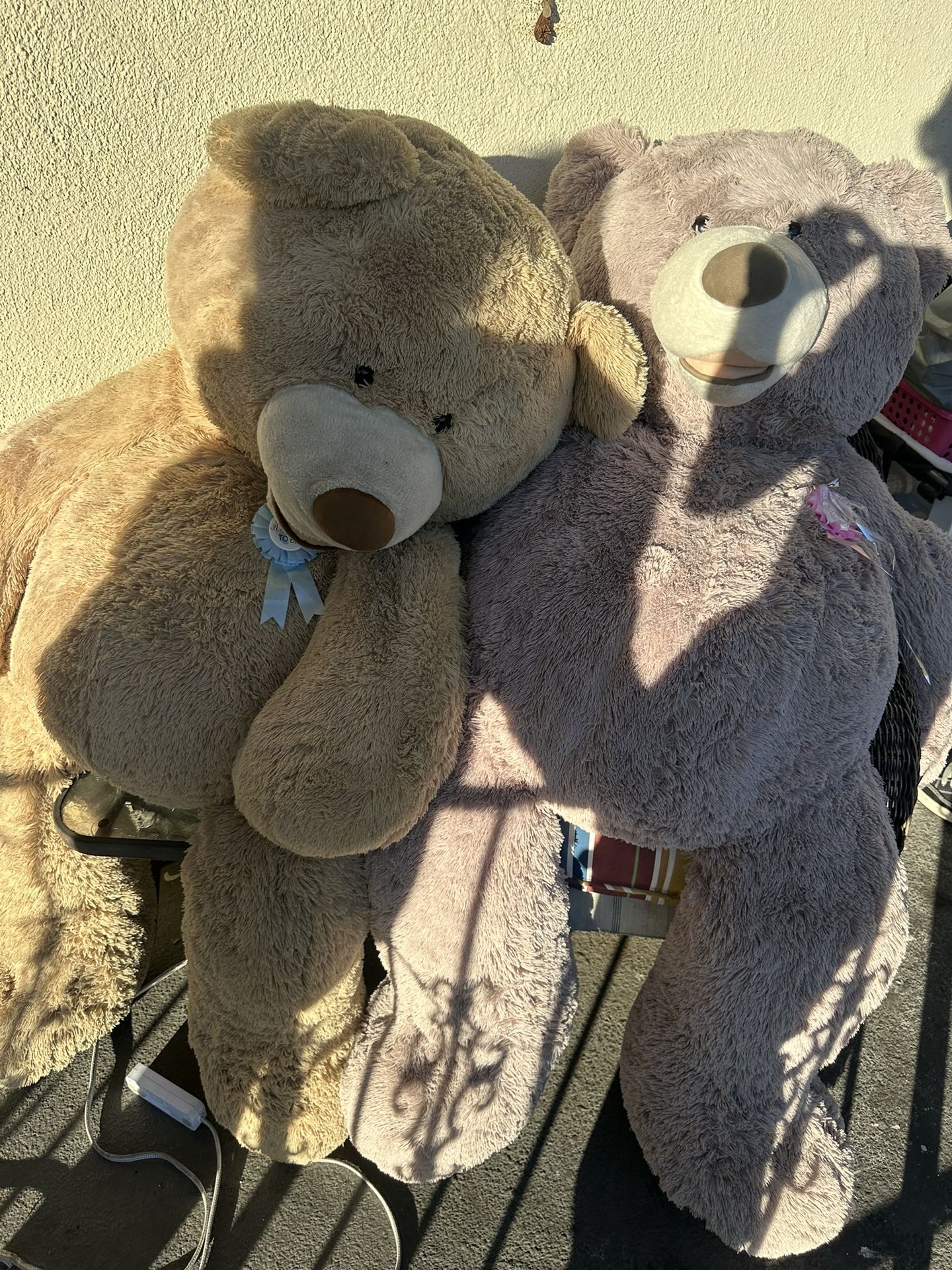 Big Teddy Bears