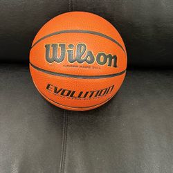Wilson Evolution Indoor Game Ball
