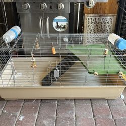 Guinea Pig Cage 