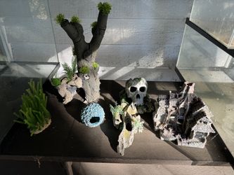 Aquarium Decor