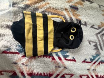 Pottery Barn Kids Bumble Bee Halloween Costume