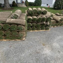 Fresh Sod 