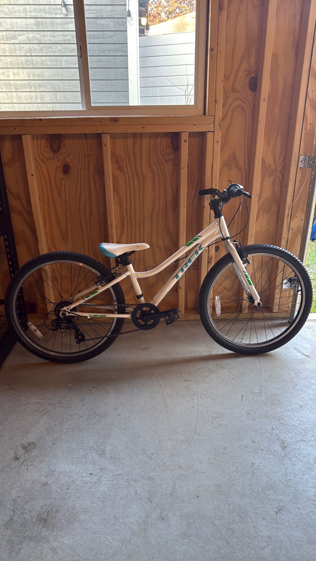 Trek Kids Bike