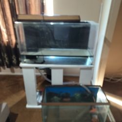 Acrylic aquarium
