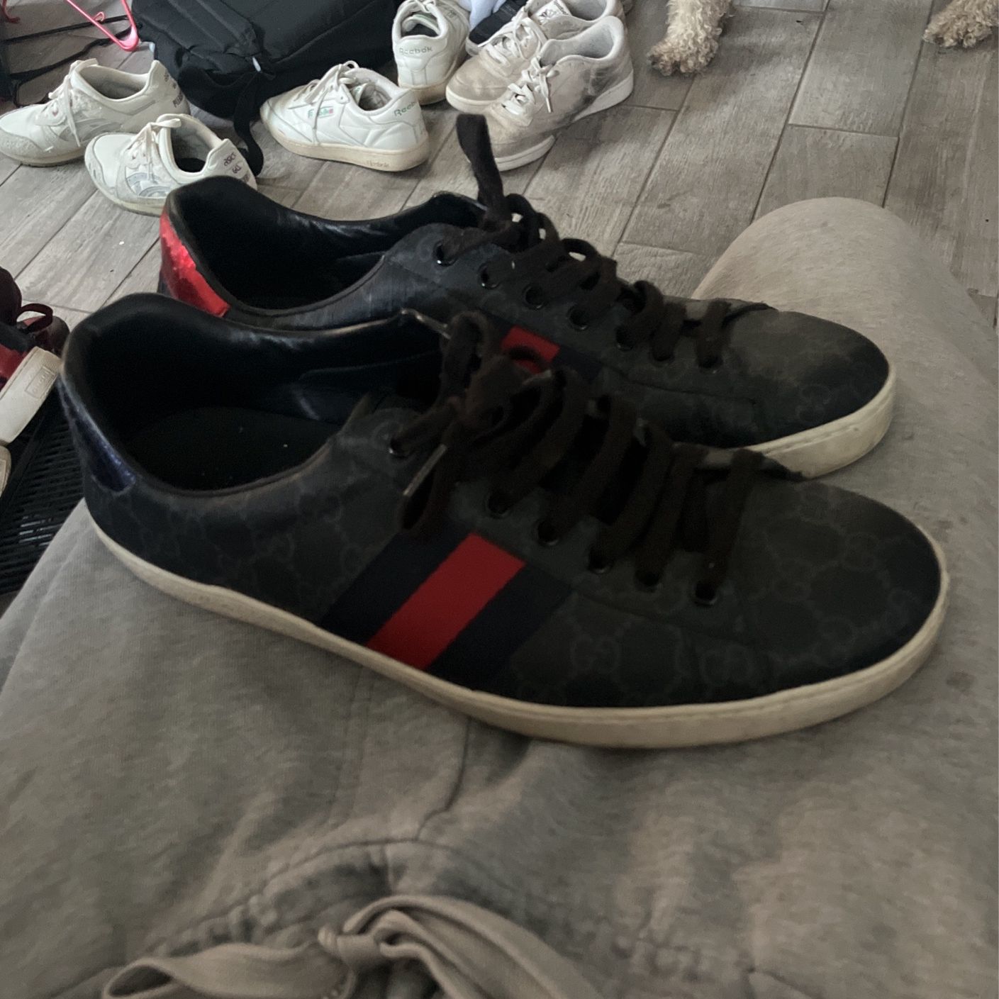 Gucci Ace Sneakers Size 9 1/2 