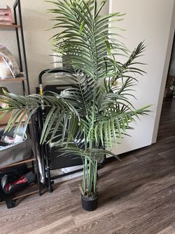 Fake Plant