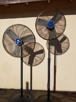 Company fans