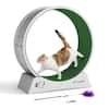 Cat Treadmill Exercise Wheel Lockable, Large

