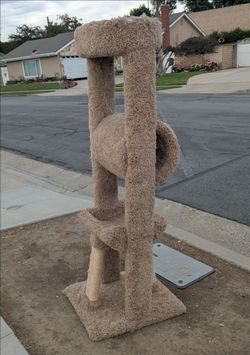 Free Costco cat tree.