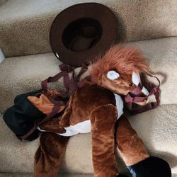 Cutest Halloween Cowboy Costume
