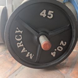 45 Lb Olympic Weights 