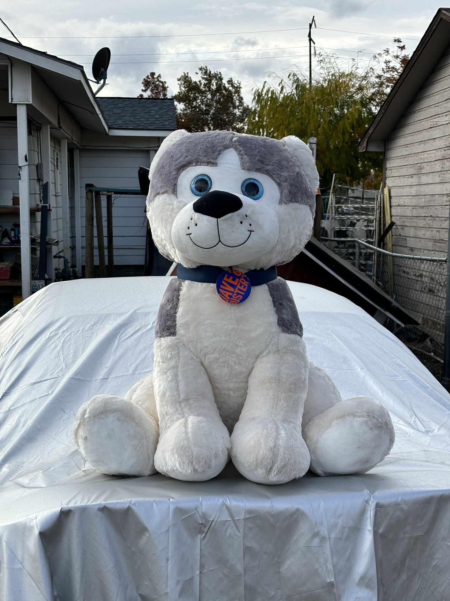 Dave and Buster Husky Plush.