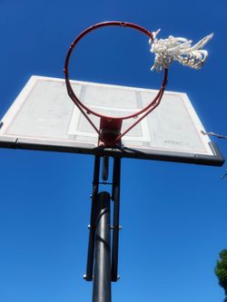 Lifetime adjustable basketball hoop